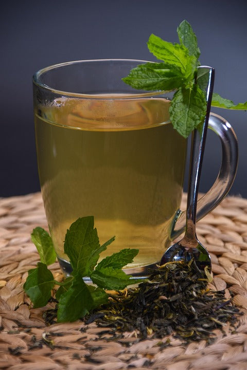 Dried Mint Tea
